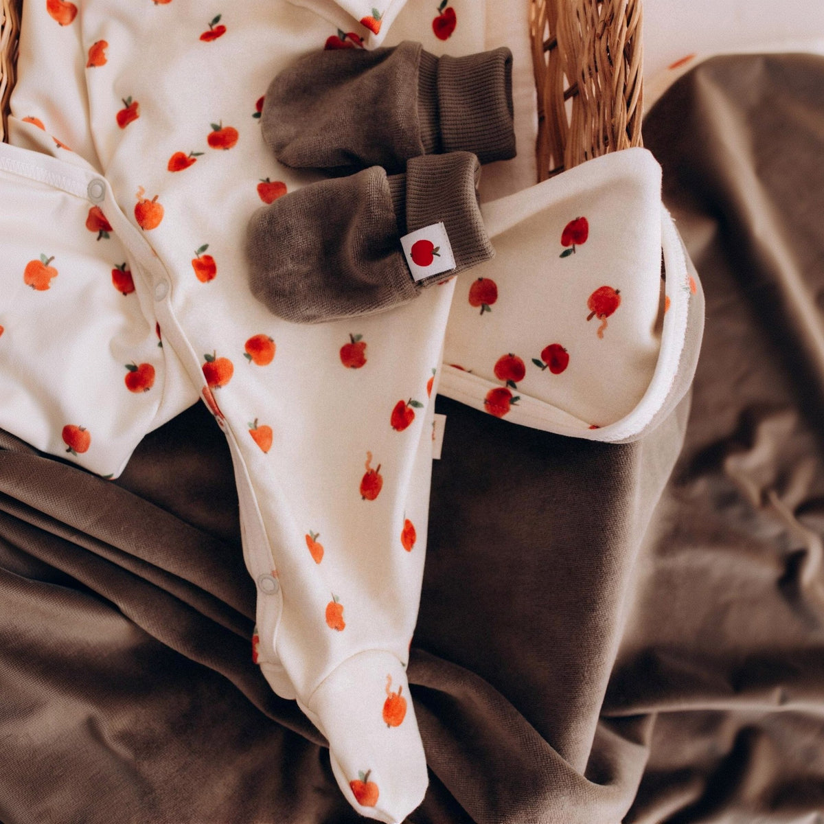 CIMDIŅI – GOTS – AW26